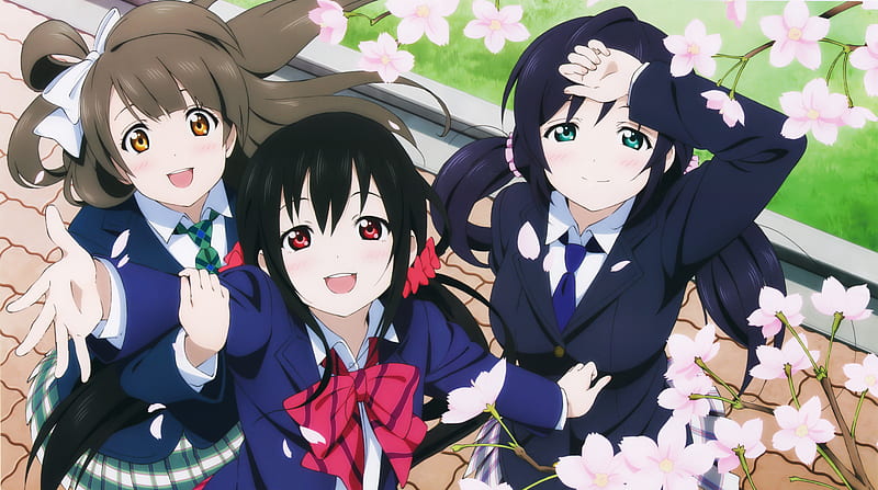 love live, toujou nozomi, yazawa nico, minami kotori, sakura blossom, school uniform, Anime, HD wallpaper
