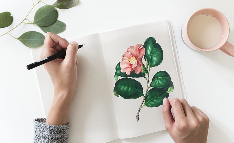 Flower Herbarium Hand Drawn Realistic Sketch Stock Vector (Royalty Free)  461812654 | Shutterstock