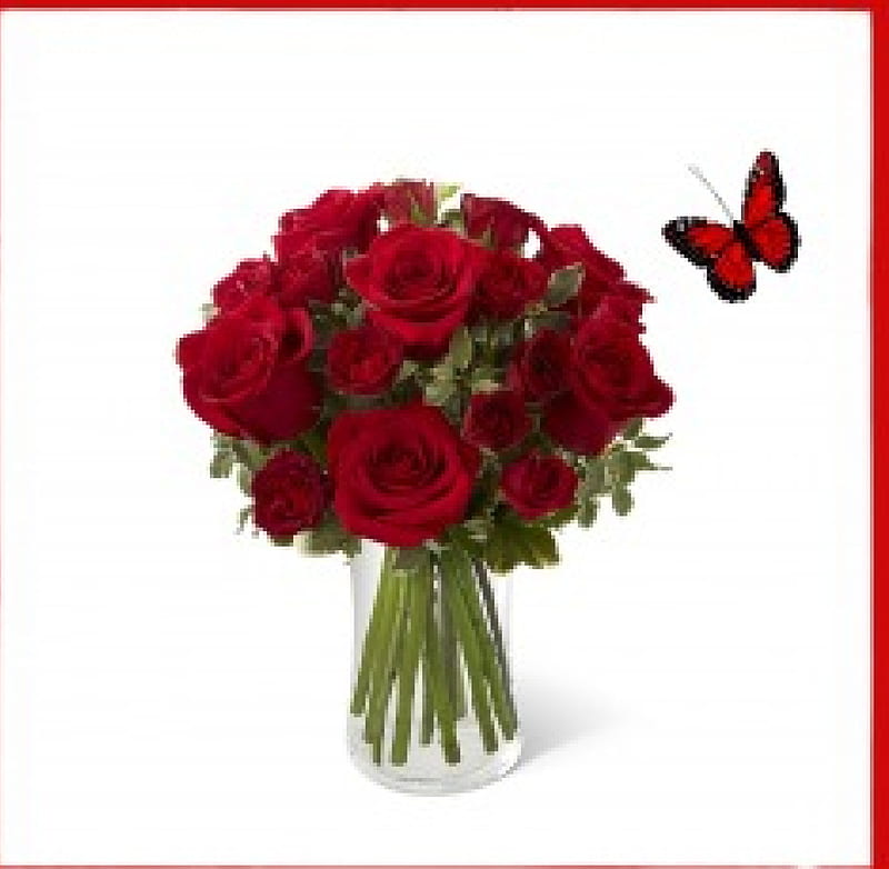 In red we say yes!, red, clear, vase, hq, roses, red frame, butterfly, bouquet, flowers, single, HD wallpaper