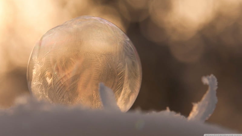 Frozen bubble, bubble, frosted, abstract, winter, frosty, graphy, snow, ice, nature, frozen, frost, HD wallpaper