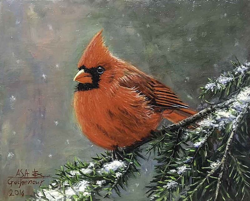 Winter Serenity, bird, snow, painting, twig, artwork, cardinal, HD ...