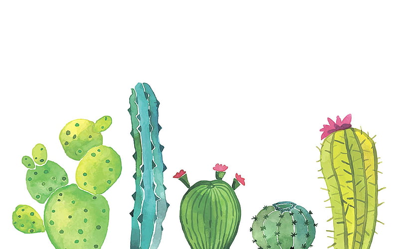 Cactus, Cute Watercolor, HD wallpaper | Peakpx
