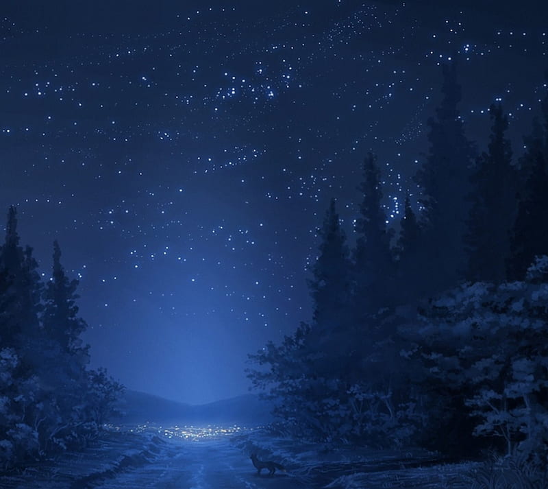 Magic Night, magic, night, snow, stars, winter, wolf, HD wallpaper