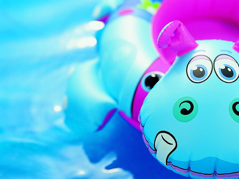 Hippo Swim - Summer Still Life graphy logo, HD wallpaper