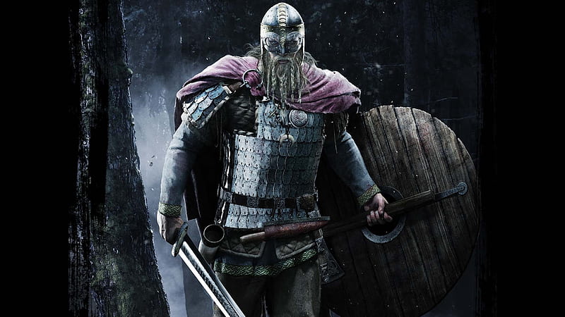Viking Warrior, fight, Nordic, Warrior, Viking, HD wallpaper