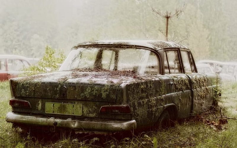 Autumn rust II, pic, autumn, grass, wall, wreck, leaves, rust, car, season, HD wallpaper