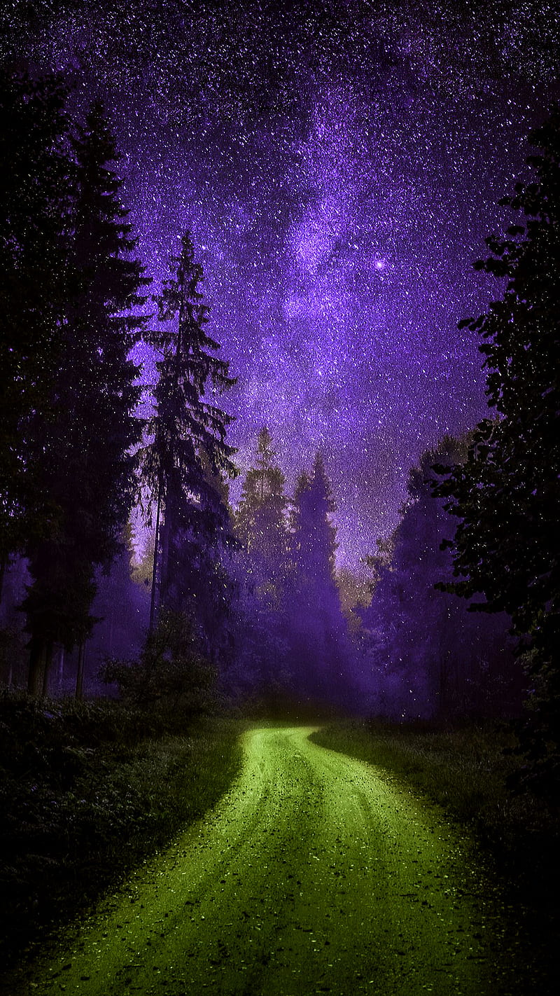 night forest, dawn, forest, horizon, landscapes, night, road, shine, sky, stars, tree, HD phone wallpaper