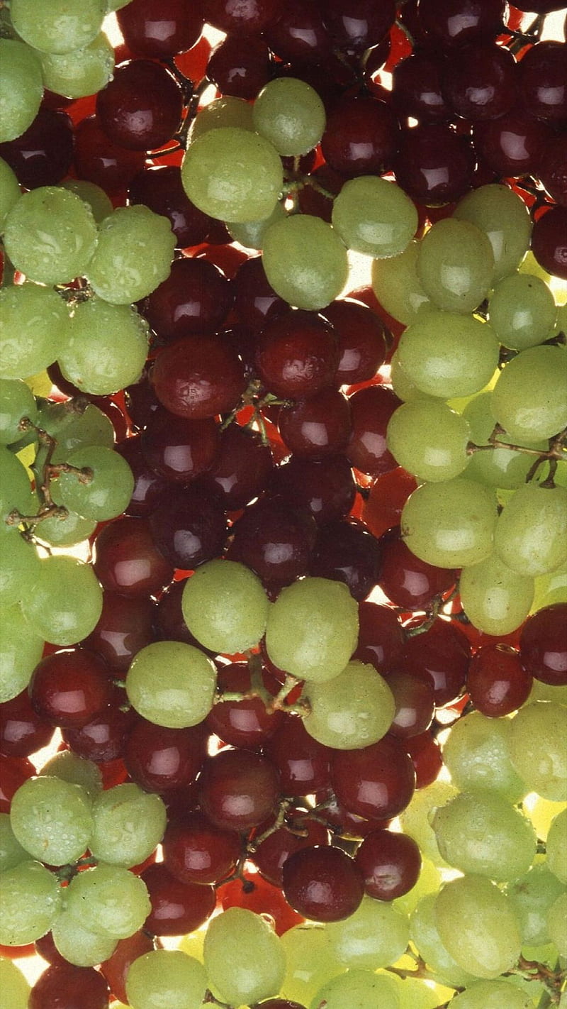Grapes, fruit, green, red, sweet, vine, wine, HD phone wallpaper