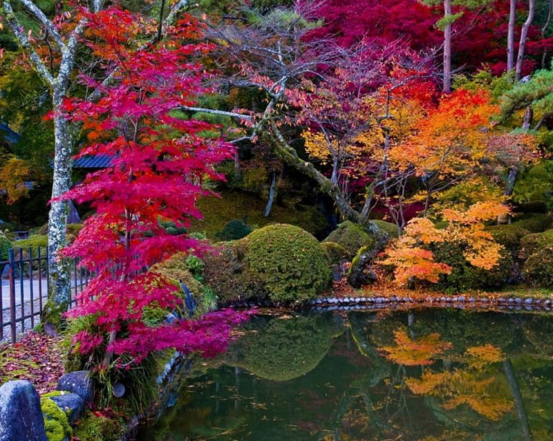 Autumn Garden, autumn, japan, japanese, garden, nature, lake, HD ...