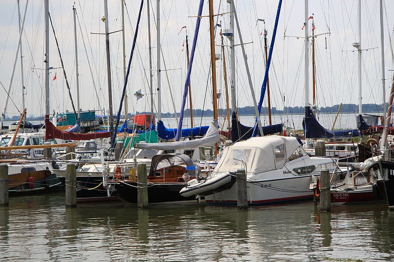Sailboats at the Marina, red, graphy, white, sailboats, rivers, blue, HD wallpaper
