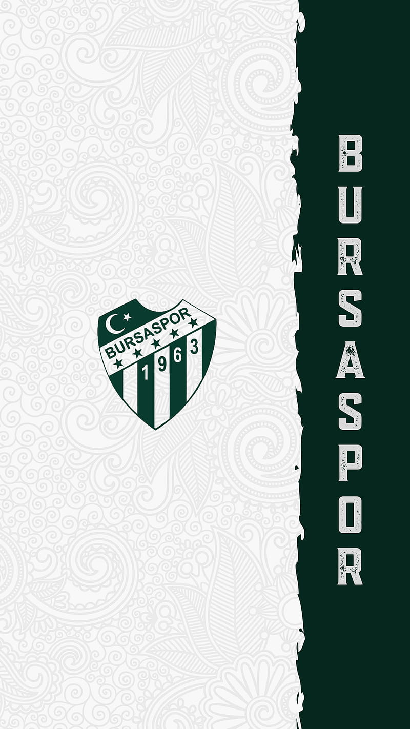 Bursaspor , bursa, green, logo, teksas, white, HD phone wallpaper