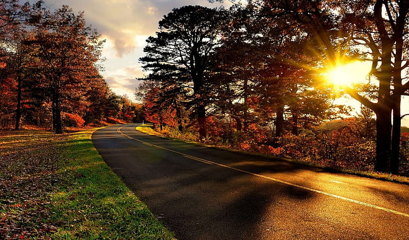 Autumn on the Blue-Ridge Parkway, Virginia, leaves, sun, colors, sunset, road, trees, HD wallpaper