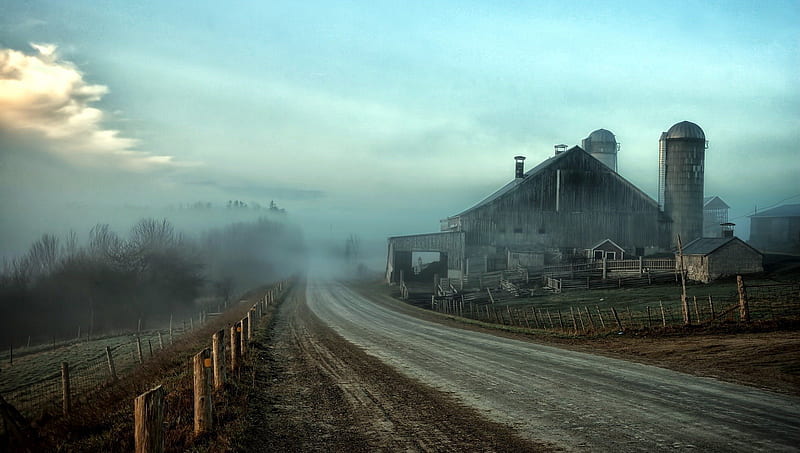 gorgeous foggy farmstead, fence, farm, road, fog, HD wallpaper