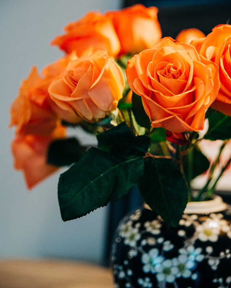roses, flowers, bouquet, orange, HD phone wallpaper
