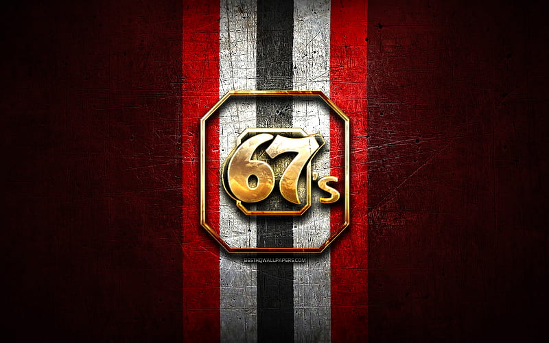 Ottawa 67s, golden logo, OHL, red metal background, canadian hockey team, Ottawa 67s logo, hockey, Canada, HD wallpaper
