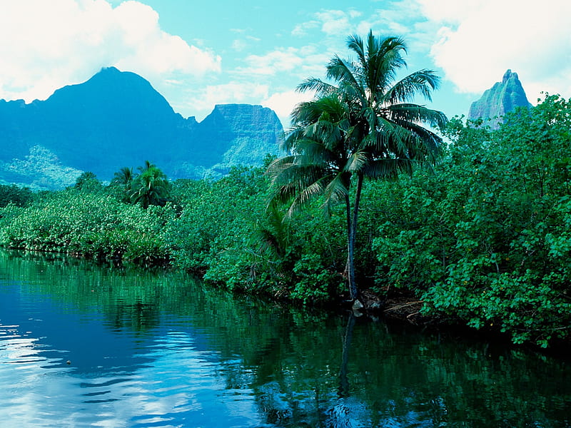 Tahiti inland river, HD wallpaper