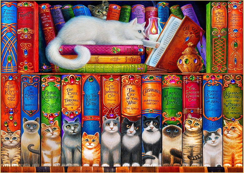 Cat Bookshelf, colors, funny, books, cats, HD wallpaper