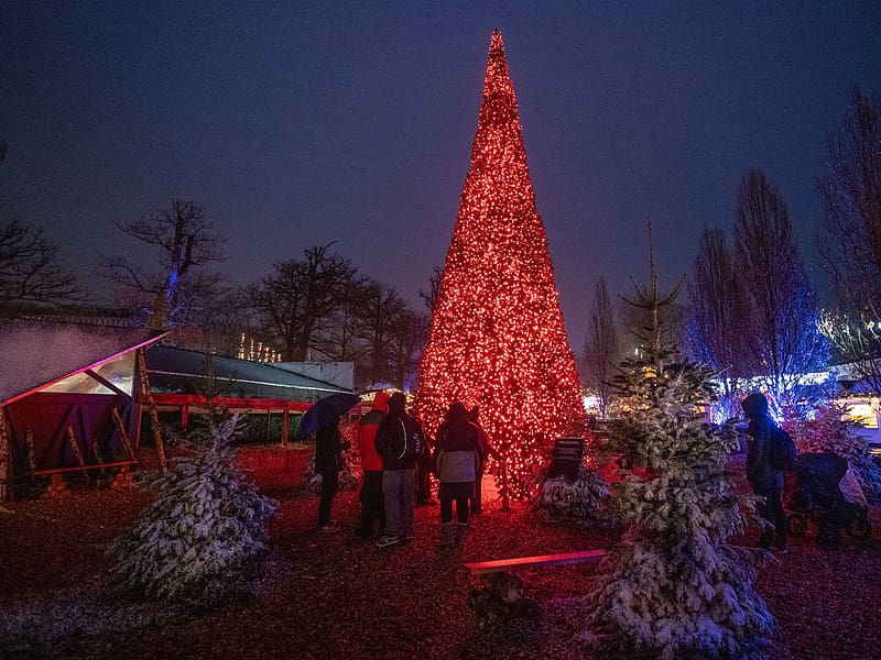 Interactive Christmas tree shares the love. MK Illumination Denmark. MK Illumination, HD wallpaper