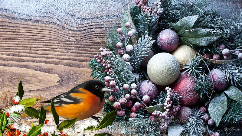 Winter on Deck, Christmas, winter, balls, bird, snow, berries, boards, greens, fir, deck, frost, spruce, HD wallpaper