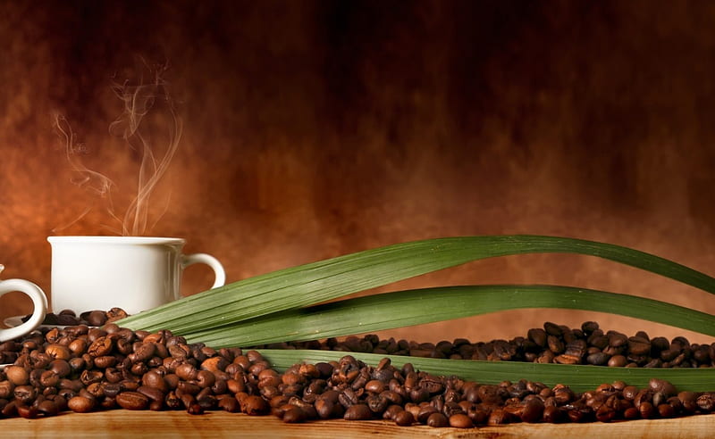 * Aromatic *, aromatic, coffee, cup, drink, coffee beans, HD wallpaper