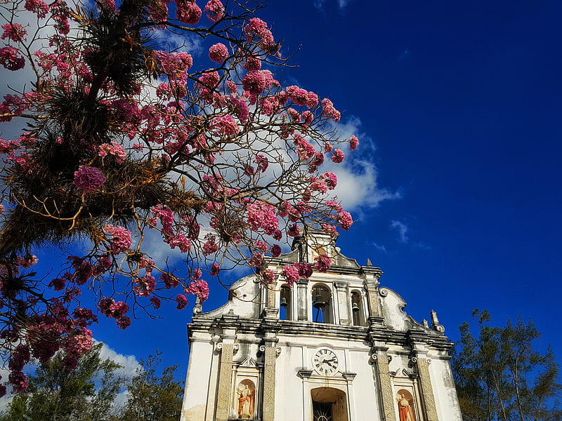 Iglesia antigua, church, flowers, guatemala, jalapa, primavera, sky, HD wallpaper