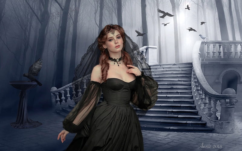 Gothic Wedding, Staircase, crows, Lovely, black, eerie, wedding, fantasy, Two colors, dark, Gothic, HD wallpaper