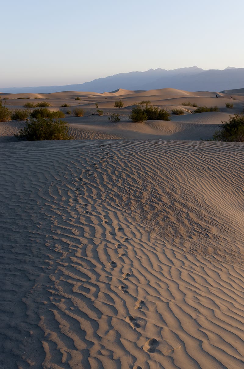 Desert, sands, traces, relief, valley, HD phone wallpaper | Peakpx