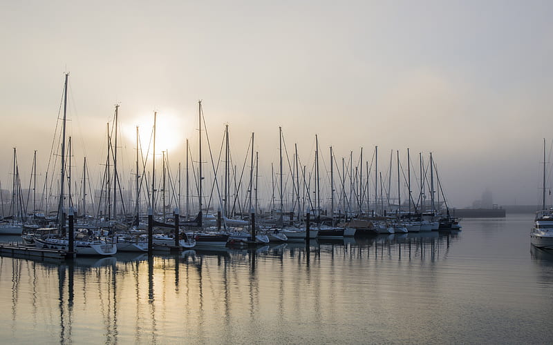 yachts, bay, sailboats, morning, sunrise, fog, beautiful white yachts, parking for yachts, HD wallpaper