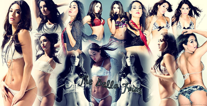 The Bella Twins, brie, divas, bella, wwe, twins, nikki, HD wallpaper |  Peakpx