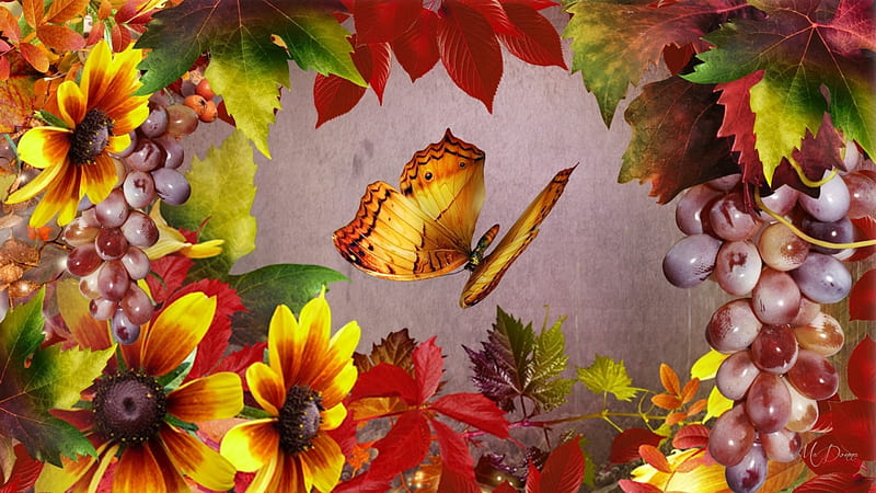Bright Autumn Butterfly, fall, black eyed susans, autumn, harvest, butterflies, grapes, leaves, bright, flowers, Firefox Persona theme, HD wallpaper
