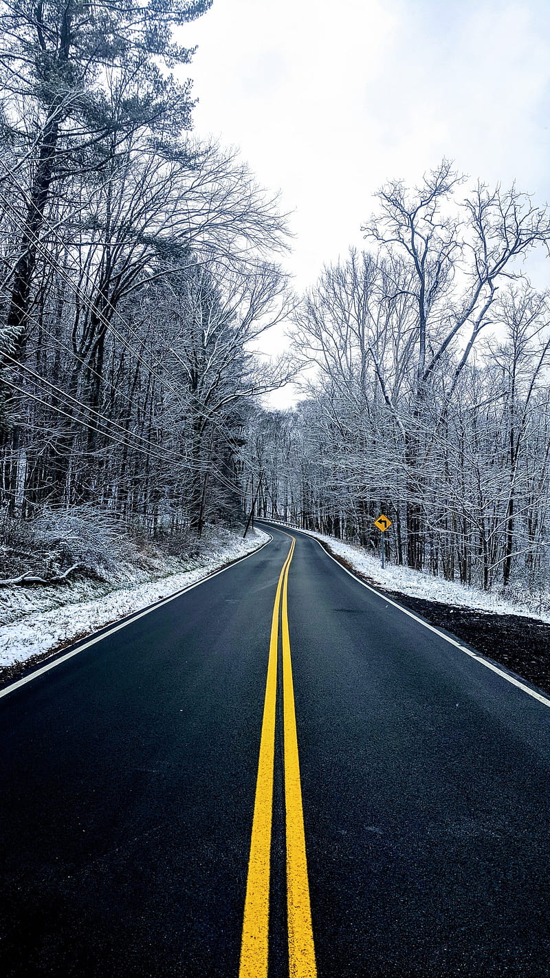 Road, trees, winter, cold, snow, season, nature, curve, HD phone wallpaper