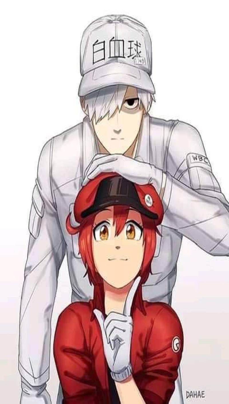 My Shiny Toy Robots Anime REVIEW Cells at Work