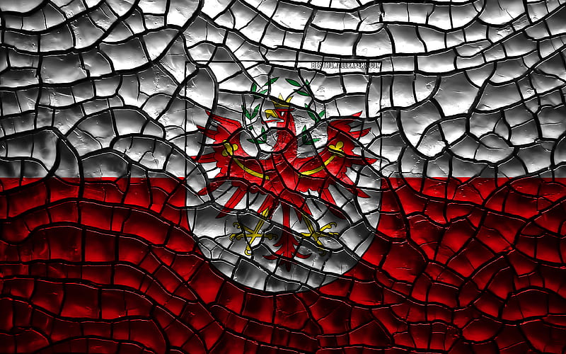 Flag of Tyrol austrian states, cracked soil, Austria, Tyrol flag, 3D art, Tyrol, States of Austria, administrative districts, Tyrol 3D flag, HD wallpaper
