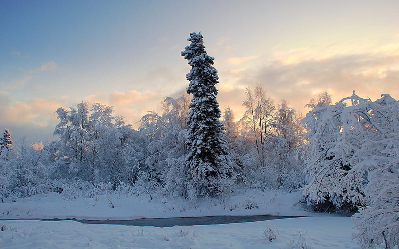 Alaska, snow, HD wallpaper | Peakpx