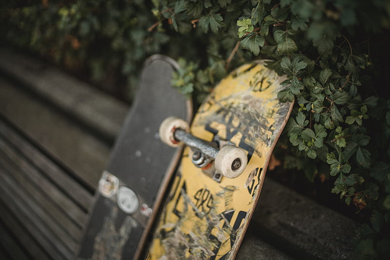 Shabby skateboards with rubber wheels placed on wooden bench in park near green fence, HD wallpaper