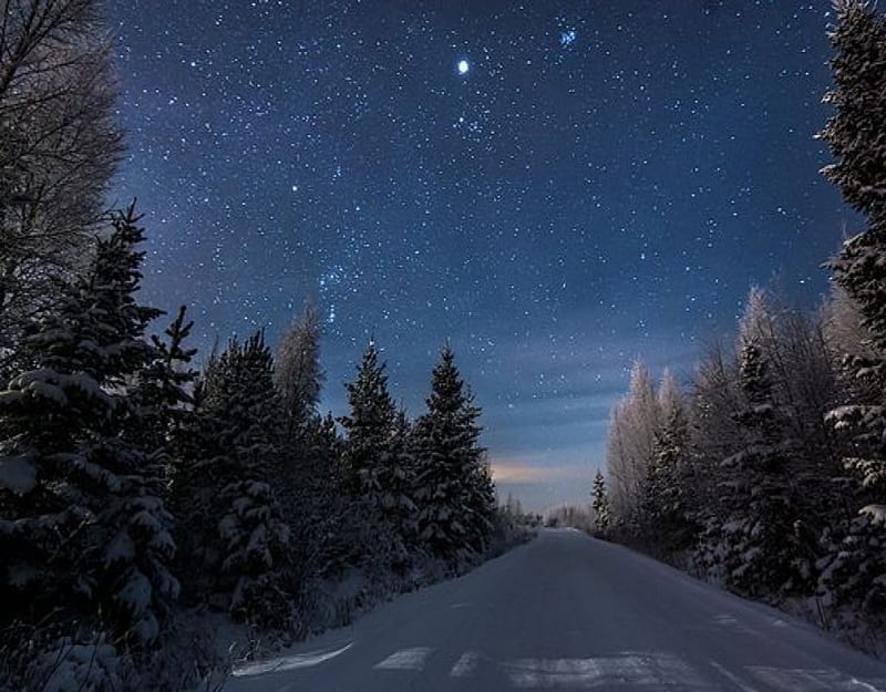 Snowy Winter Night, snowing, snow, nature, road, trees, sky, winter, HD ...