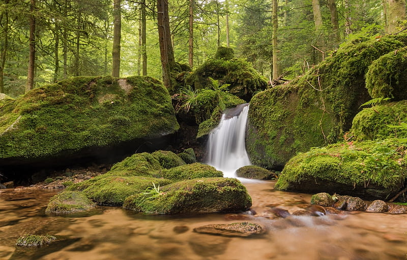 Mossy Rock Waterfall Stream, Waterfalls, Trees, Streams, Forests, Moss, Rocks, Nature, HD wallpaper
