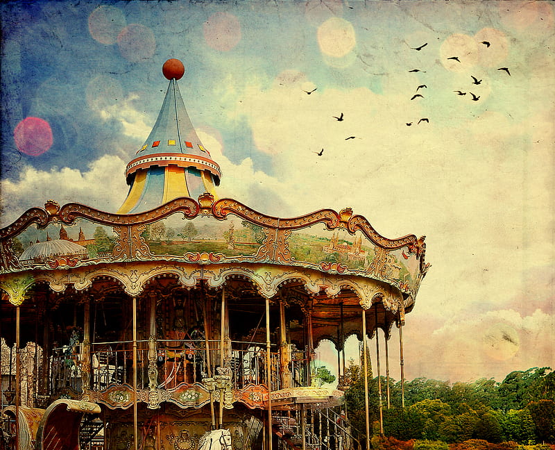 Carousel, horses, merry go round, amusement ride, HD wallpaper