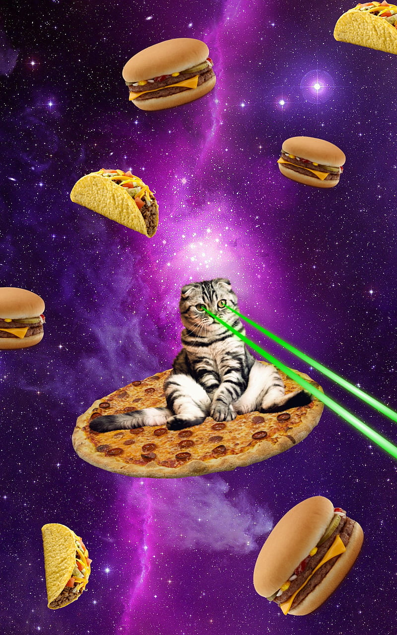 Laser Pizza Cat, burger, galaxy, taco, HD phone wallpaper