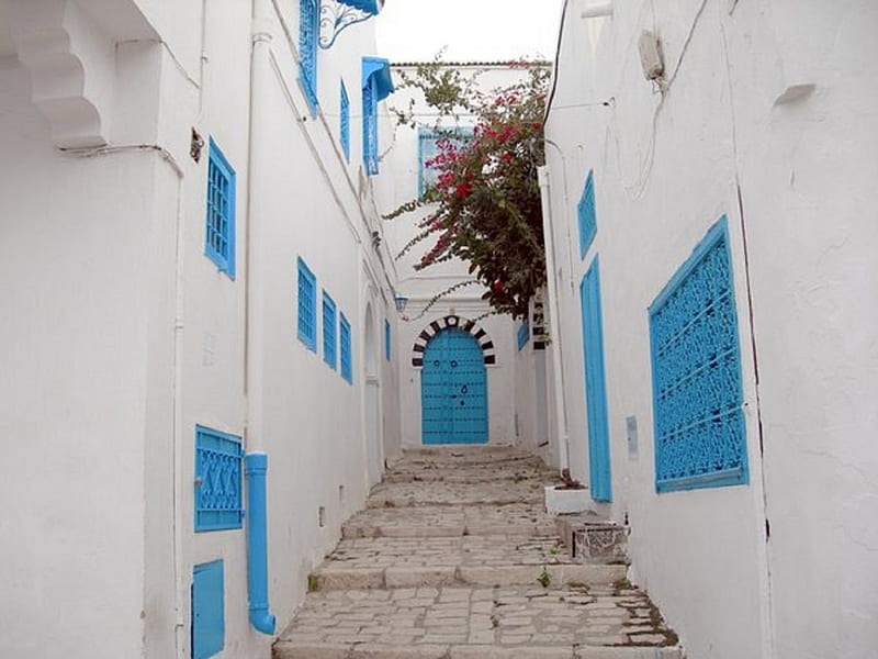 Little street, windows, Stairs, blue, door, HD wallpaper | Peakpx