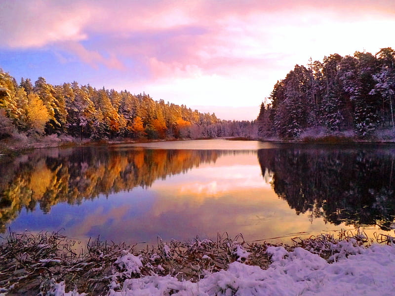 Winter morning., snow, river, forests, lake, winter, landscape, HD ...