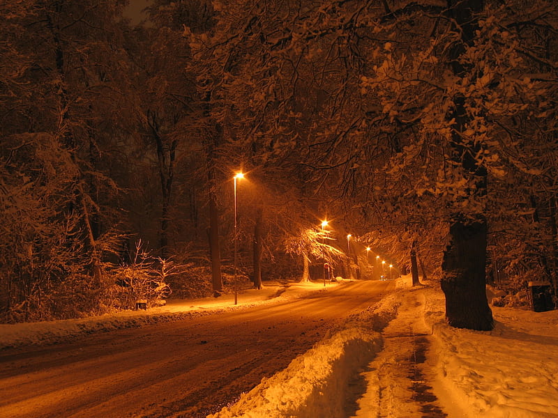 A Winter Night in Denmark, illumination, trees, scandinavia, lights, winter, cold, snow, road, night, HD wallpaper