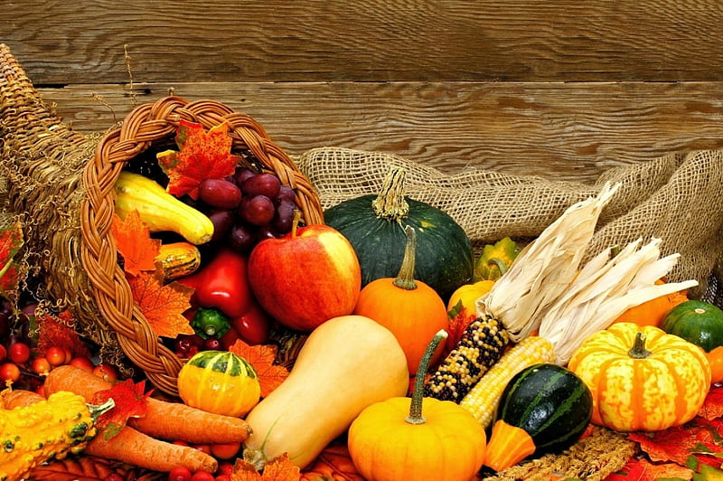 Autumn Cornucopia, apple, corn, Fall, burlap, fruits, gourds, grapes, still life, leaves, berries, pepper, vegetables, Autumn, wood, pumpkins, HD wallpaper