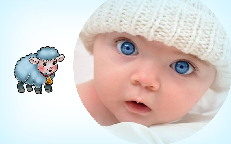 Sweet Baby, Beautiful Baby, Cute, Blue Eyes, White, Sheep, Blue, HD wallpaper