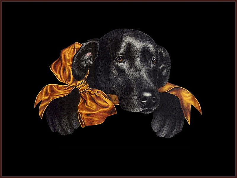 black lab, holiday, lab, ribbon, black, bow, dogs, HD wallpaper