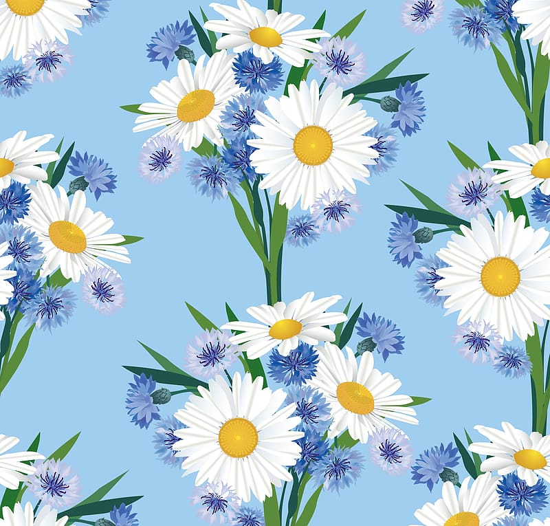 Pattern, white, blue, summer, daisy, bouquet, texture, vara, flower, HD wallpaper