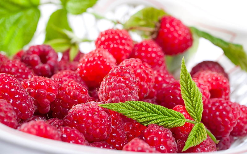 raspberry berry delicious-Food, HD wallpaper