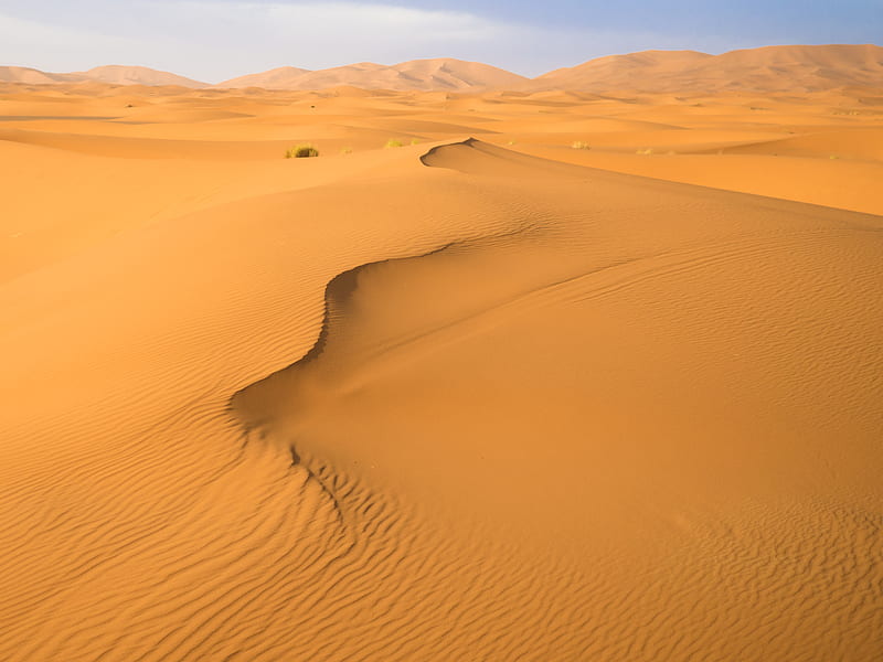 sand, desert, traces, hills, dunes, HD wallpaper