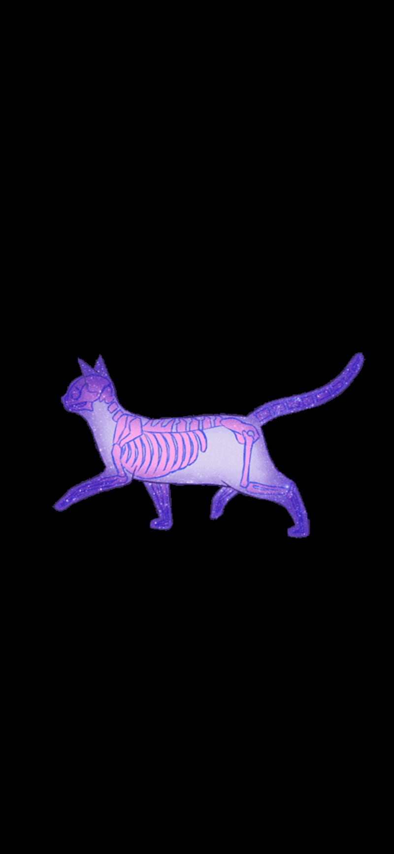 Skeleton cat pastel, goth, skeleton cat, sparkles, HD phone wallpaper