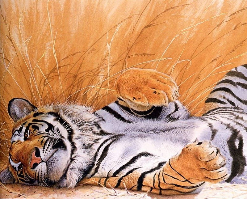 Tiger, animal, nice, HD wallpaper